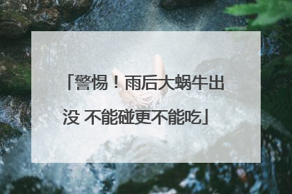 警惕！雨后大蜗牛出没 不能碰更不能吃
