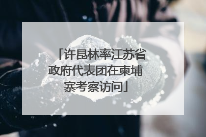 许昆林率江苏省政府代表团在柬埔寨考察访问