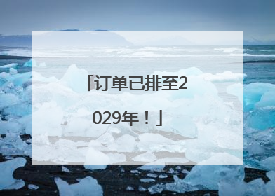 订单已排至2029年！