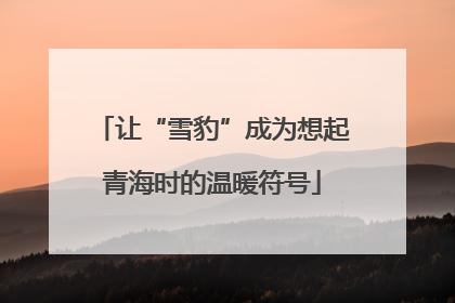 让“雪豹”成为想起青海时的温暖符号