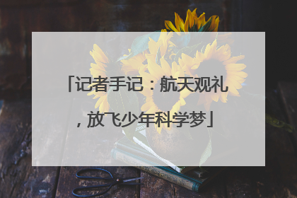 记者手记：航天观礼，放飞少年科学梦