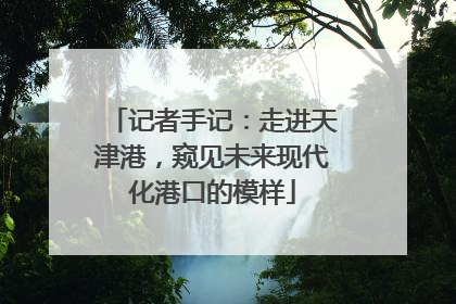 记者手记：走进天津港，窥见未来现代化港口的模样