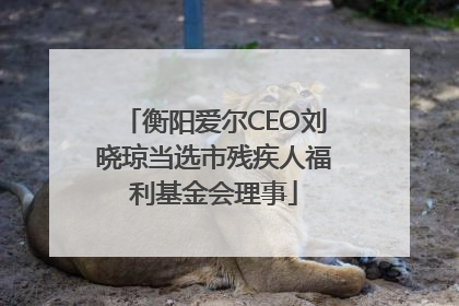 衡阳爱尔CEO刘晓琼当选市残疾人福利基金会理事