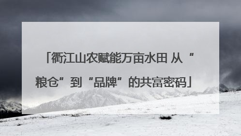 衢江山农赋能万亩水田 从“粮仓”到“品牌”的共富密码