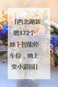 西北湖新增372个地下智能停车位，地上变小游园