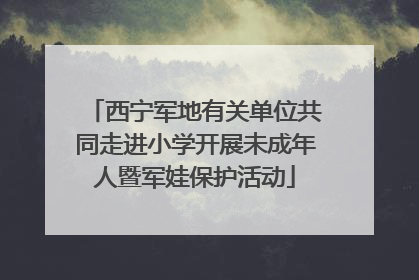西宁军地有关单位共同走进小学开展未成年人暨军娃保护活动