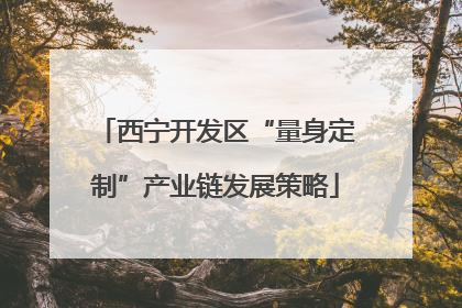 西宁开发区“量身定制”产业链发展策略