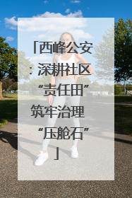 西峰公安：深耕社区“责任田” 筑牢治理“压舱石”