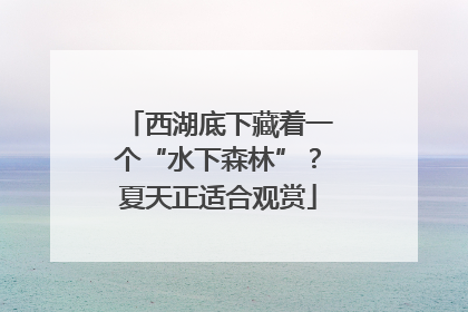 西湖底下藏着一个“水下森林”？夏天正适合观赏