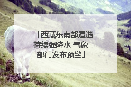 西藏东南部遭遇持续强降水 气象部门发布预警