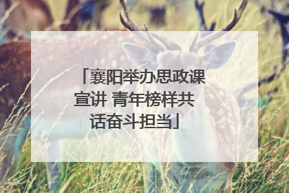 襄阳举办思政课宣讲 青年榜样共话奋斗担当