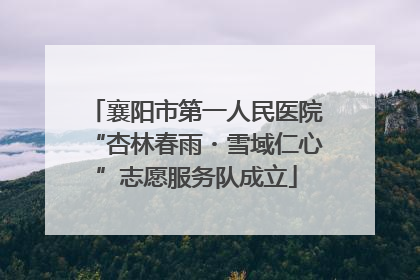 襄阳市第一人民医院“杏林春雨・雪域仁心”志愿服务队成立