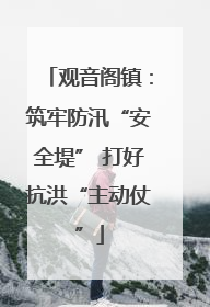 观音阁镇：筑牢防汛“安全堤” 打好抗洪“主动仗”
