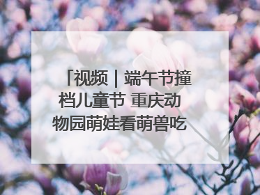 视频｜端午节撞档儿童节 重庆动物园萌娃看萌兽吃特色粽子大餐