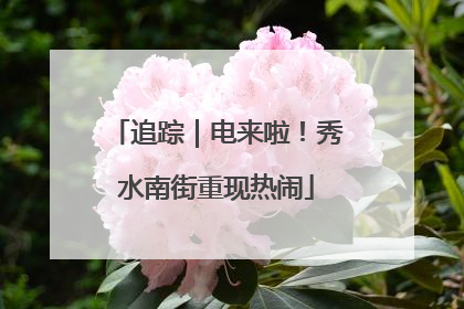 追踪｜电来啦！秀水南街重现热闹