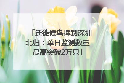 迁徙候鸟挥别深圳北归：单日监测数量最高突破2万只