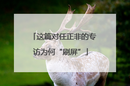 这篇对任正非的专访为何“刷屏”