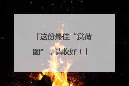 这份最佳“赏荷图”，请收好！