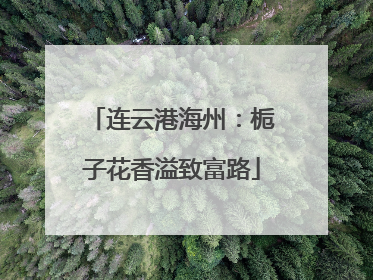 连云港海州：栀子花香溢致富路