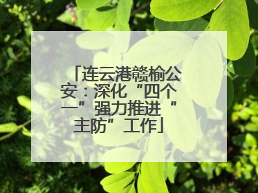 连云港赣榆公安：深化“四个一”强力推进“主防”工作
