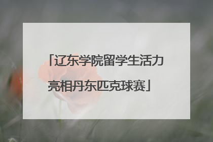 辽东学院留学生活力亮相丹东匹克球赛