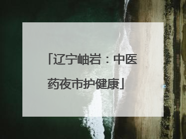 辽宁岫岩：中医药夜市护健康