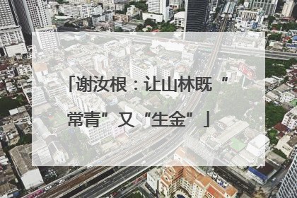 谢汝根：让山林既“常青”又“生金”
