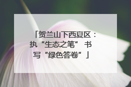 贺兰山下西夏区：执“生态之笔” 书写“绿色答卷”
