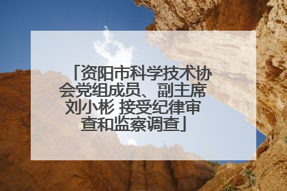 资阳市科学技术协会党组成员、副主席刘小彬 接受纪律审查和监察调查