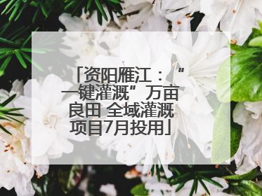 资阳雁江：“一键灌溉”万亩良田 全域灌溉项目7月投用