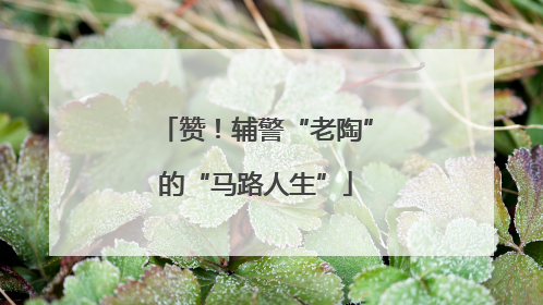 赞！辅警“老陶”的“马路人生”