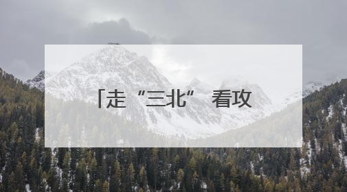 走“三北” 看攻坚①｜太行披“绿装” 连翘药茶香