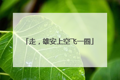 走，雄安上空飞一圈