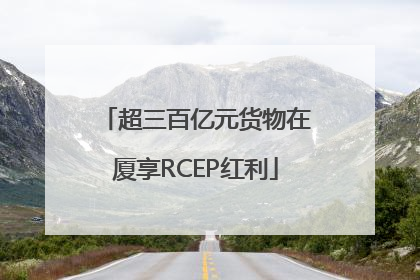 超三百亿元货物在厦享RCEP红利