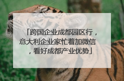 跨国企业成都园区行，意大利企业家忙着加微信，看好成都产业优势
