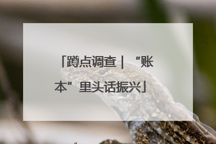 蹲点调查｜“账本”里头话振兴