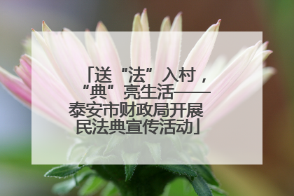 送“法”入村，“典”亮生活——泰安市财政局开展民法典宣传活动