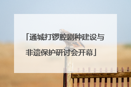 通城打锣腔剧种建设与非遗保护研讨会开幕