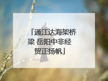 通江达海架桥梁 岳阳中非经贸正扬帆
