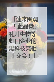速来围观！蓝晶微、礼升生物等虹口企业的黑科技亮相上交会！
