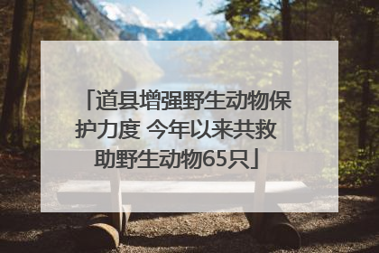 道县增强野生动物保护力度 今年以来共救助野生动物65只