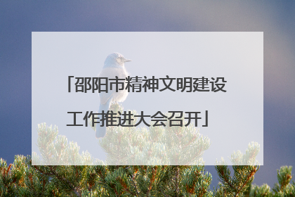 邵阳市精神文明建设工作推进大会召开