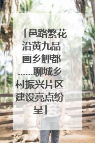 邑路繁花 沿黄九品 画乡鲤都……聊城乡村振兴片区建设亮点纷呈