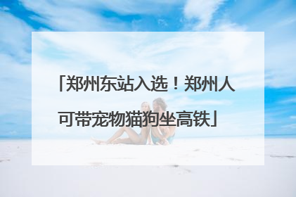 郑州东站入选！郑州人可带宠物猫狗坐高铁