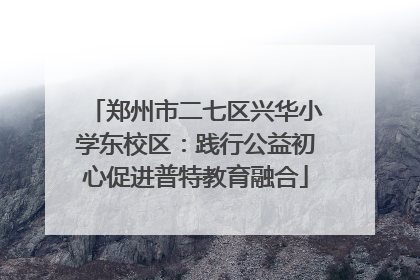 郑州市二七区兴华小学东校区：践行公益初心促进普特教育融合