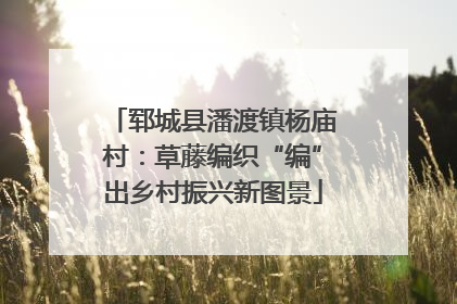 郓城县潘渡镇杨庙村：草藤编织“编”出乡村振兴新图景