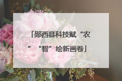 郧西县科技赋“农”“智”绘新画卷