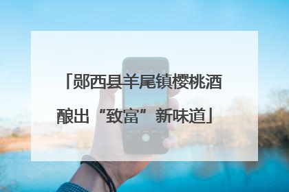郧西县羊尾镇樱桃酒酿出“致富”新味道