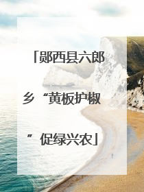 郧西县六郎乡“黄板护椒”促绿兴农