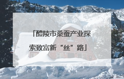 醴陵市桑蚕产业探索致富新“丝”路